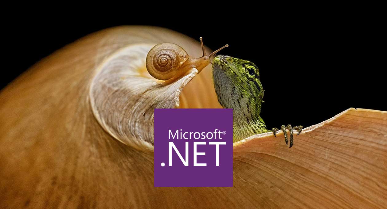 dotnet frontend